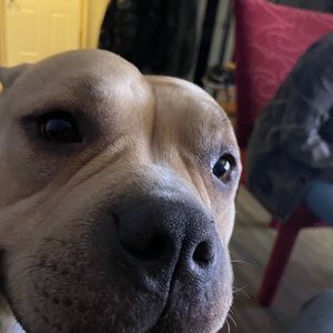 Meet your Posher, Jeremy